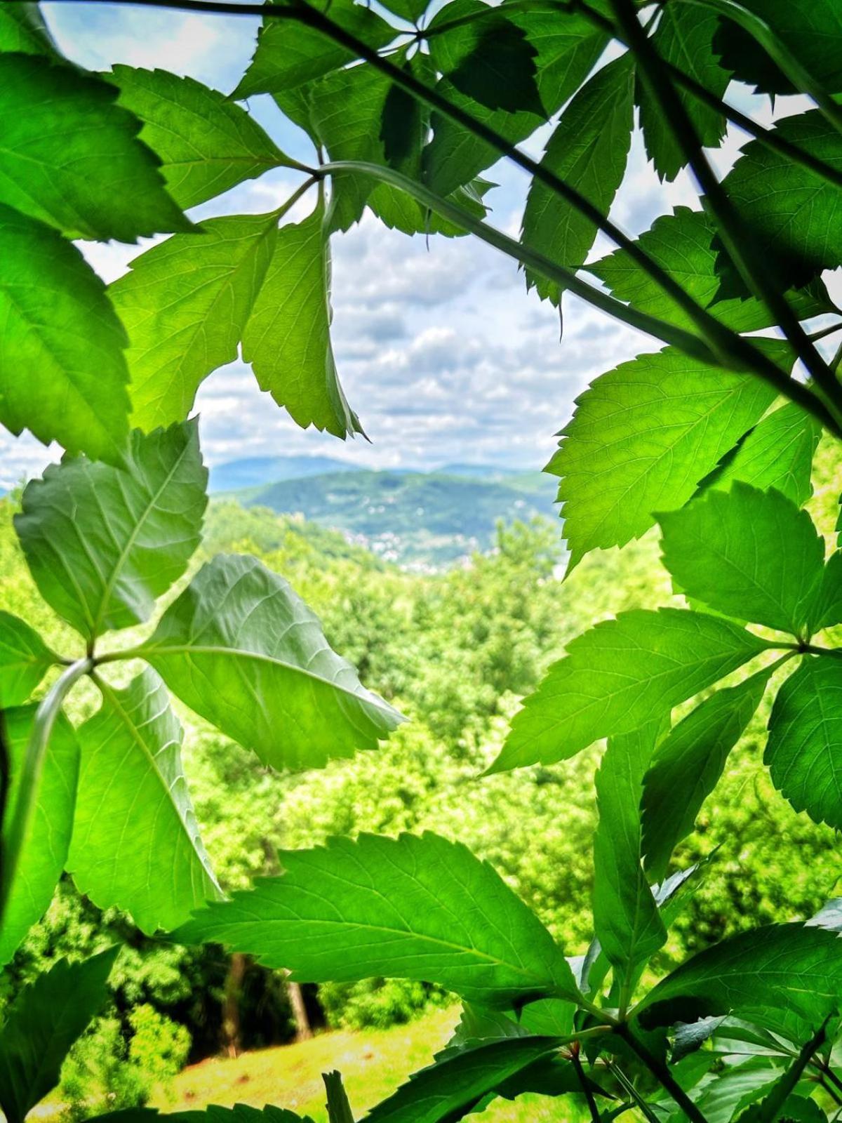 Holiday Home Nature Neno Visoko Esterno foto